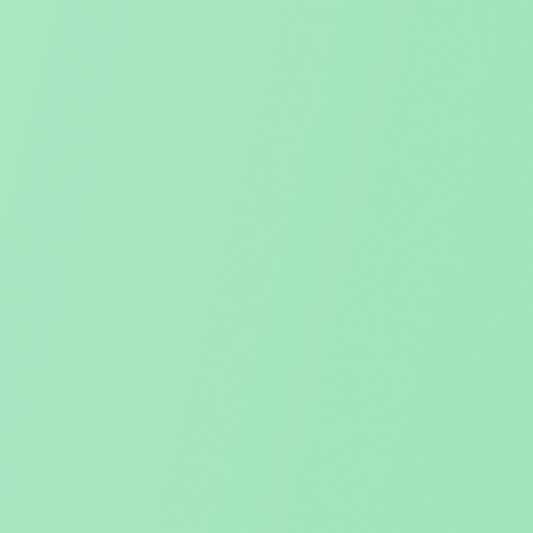 EZ Covers Mint Green Book Cover